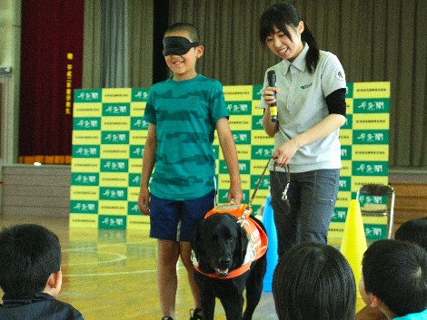 盲導犬のお仕事知ろう、青森の小学校で体験授業
