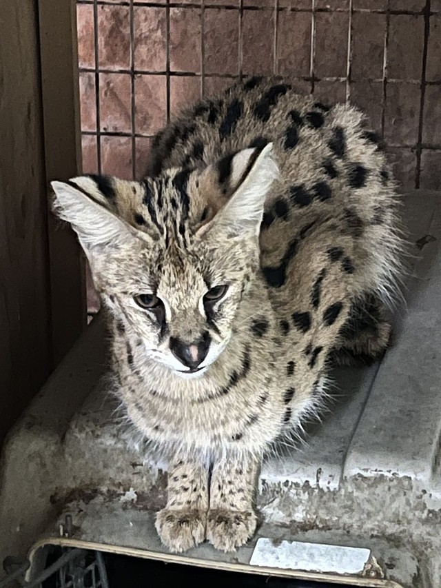 取材の日会えなかった子③（画像提供：登田さん）