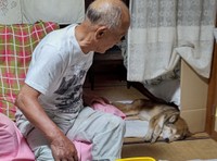 柴犬オルカのママさんがおとーさんに話を聞いてる間はゆうくんはお昼寝。でもチラチラ様子は見ていたとか（柴犬オルカのママさん提供）