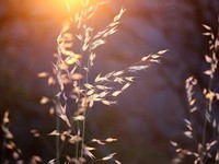 大好きな祖父のお墓参りで思い出した記憶。あの匂いと笑顔、温かさ