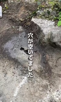 土をどけると、穴が空いていました／かずみさん（@ig.kazumi）提供