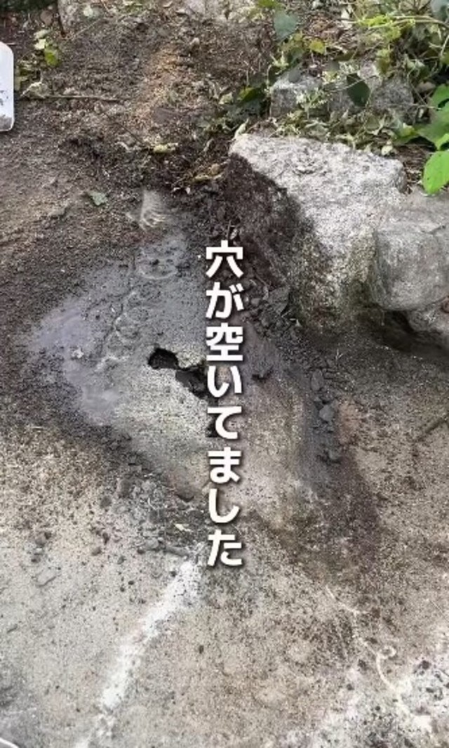 土をどけると、穴が空いていました／かずみさん（@ig.kazumi）提供