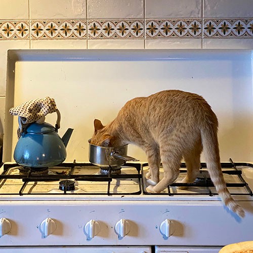 お鍋の中に美味しそうなものが残っていた〜！