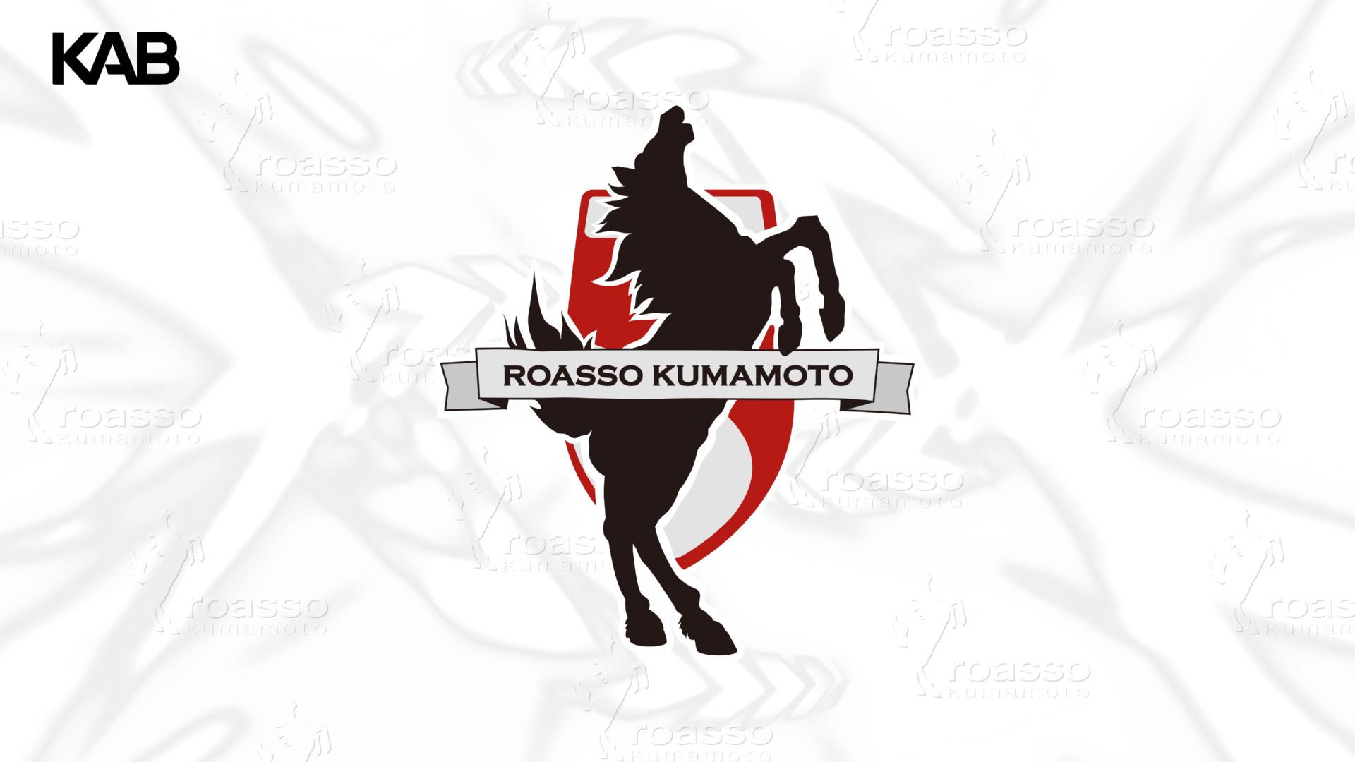 kumamotoさん Kumamoto Castle Marathon] 42.195km, the 