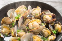 上手に砂抜きして美味しくいただこう！※画像はイメージです（kazoka303030/stock.adobe.com）