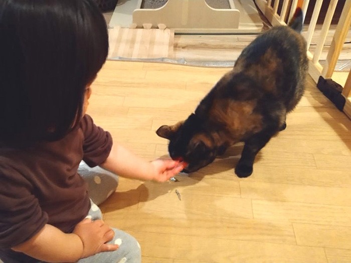 娘に慣れてきたあんず（オヤツを持っているときに限る）