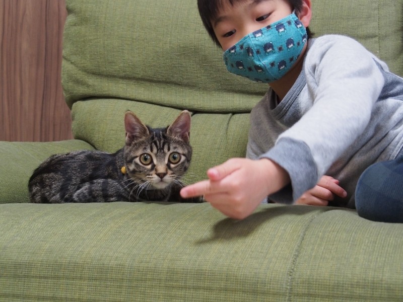 お兄ちゃんの指も、おもちゃの一つ