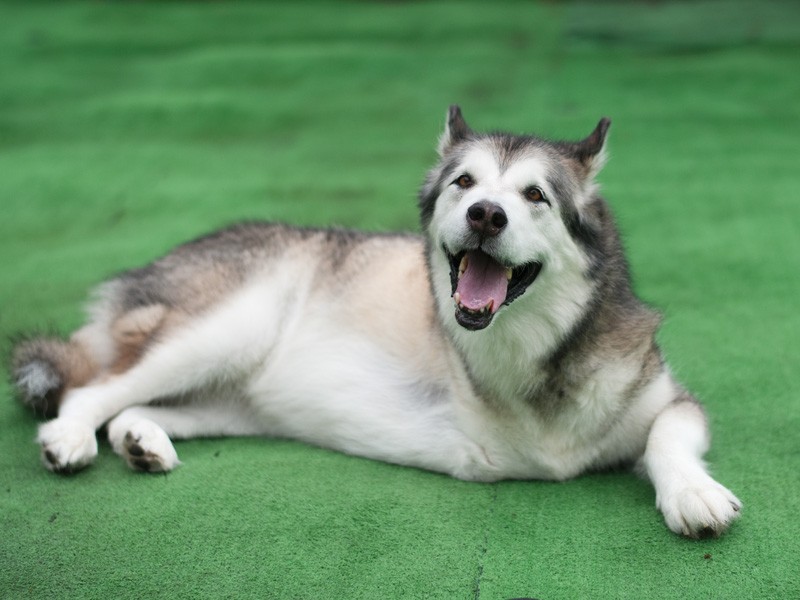 「みんな元気でね」（小林写函撮影）