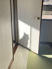 影法師も可愛らしい（画像提供：柴犬ふう太さん）