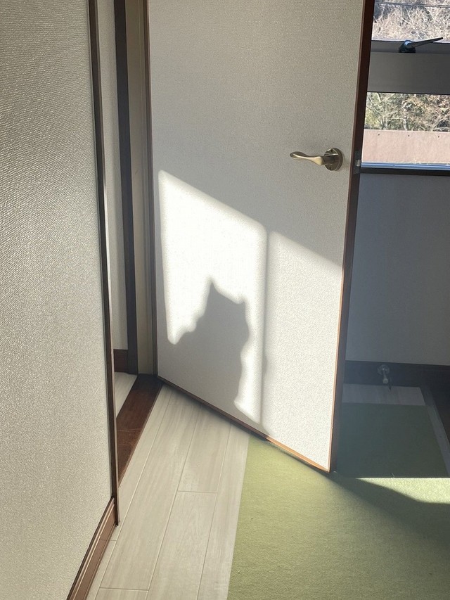 影法師も可愛らしい（画像提供：柴犬ふう太さん）