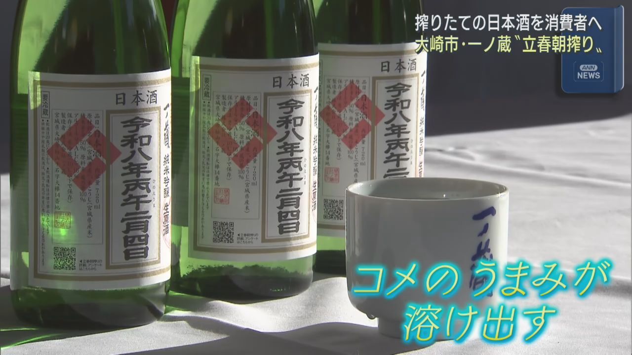 立春に搾った酒をその日に消費者へ　立春朝搾り　宮城・一ノ蔵