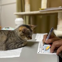 ワクチン打つの？おばあちゃん？＝とうふさん（@uratakaxx）提供