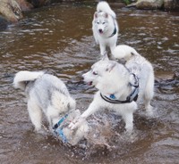 ああっ!!（画像提供：ふくまる＋ぶな＝さん）