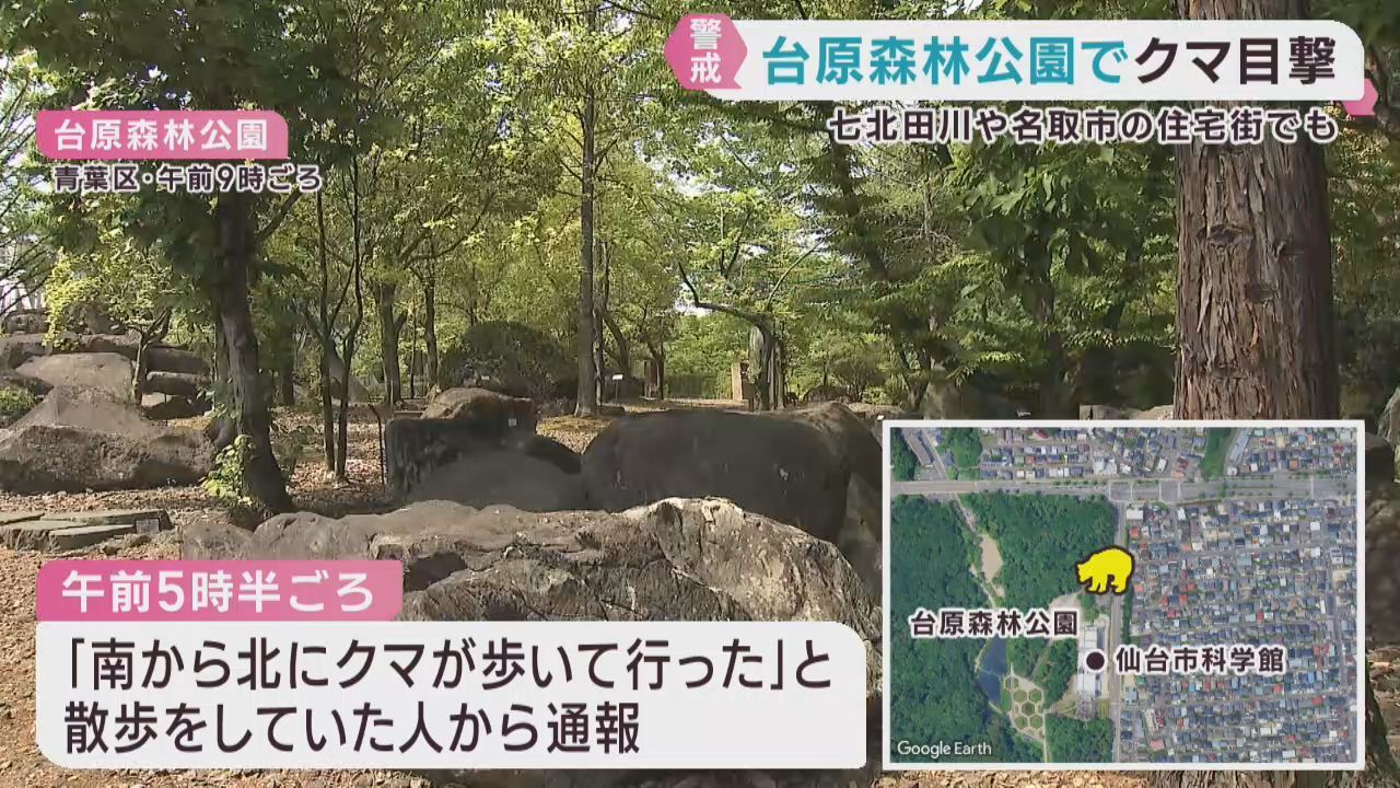 クマの目撃が相次ぐ　仙台市の台原森林公園と宮城野区岩切　宮城・丸森町で緊急銃猟訓練　環境省が個体数調査へ