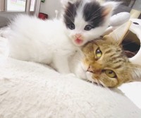 母娘で仲良く＝pan.chanchiさん提供