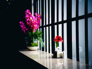 比較地獄からの脱出。私は、美人を目指すべきなんだろうか？