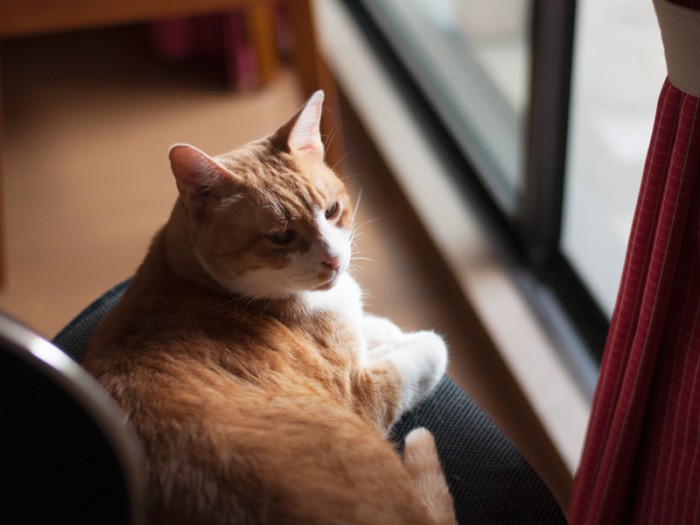 「おばちゃんの挙動が怪しい。また口に指でも突っ込む気だな」（小林写函撮影）