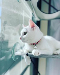 外を眺めてまったり過ごす