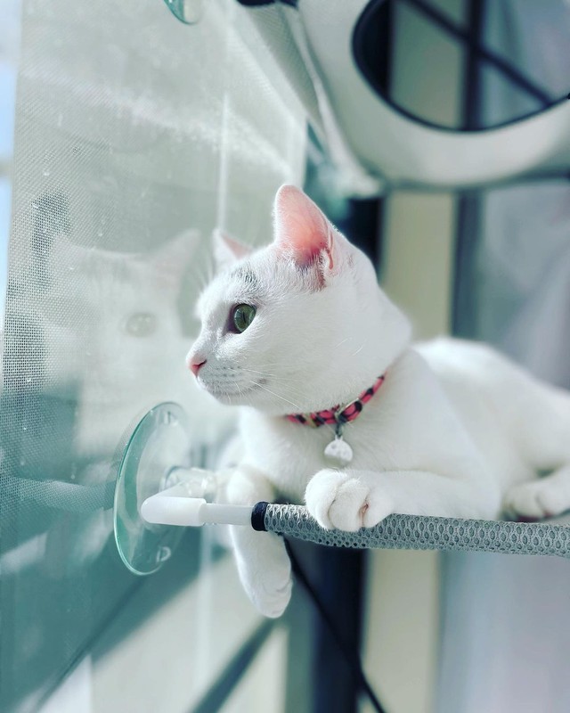 外を眺めてまったり過ごす