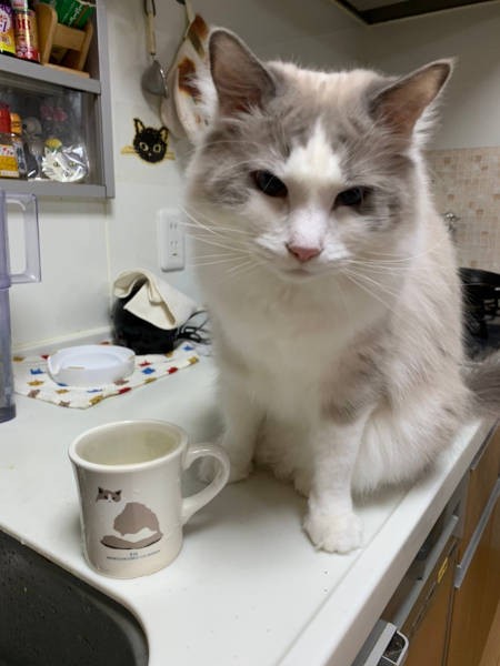 ちょっぴりご機嫌ななめ？