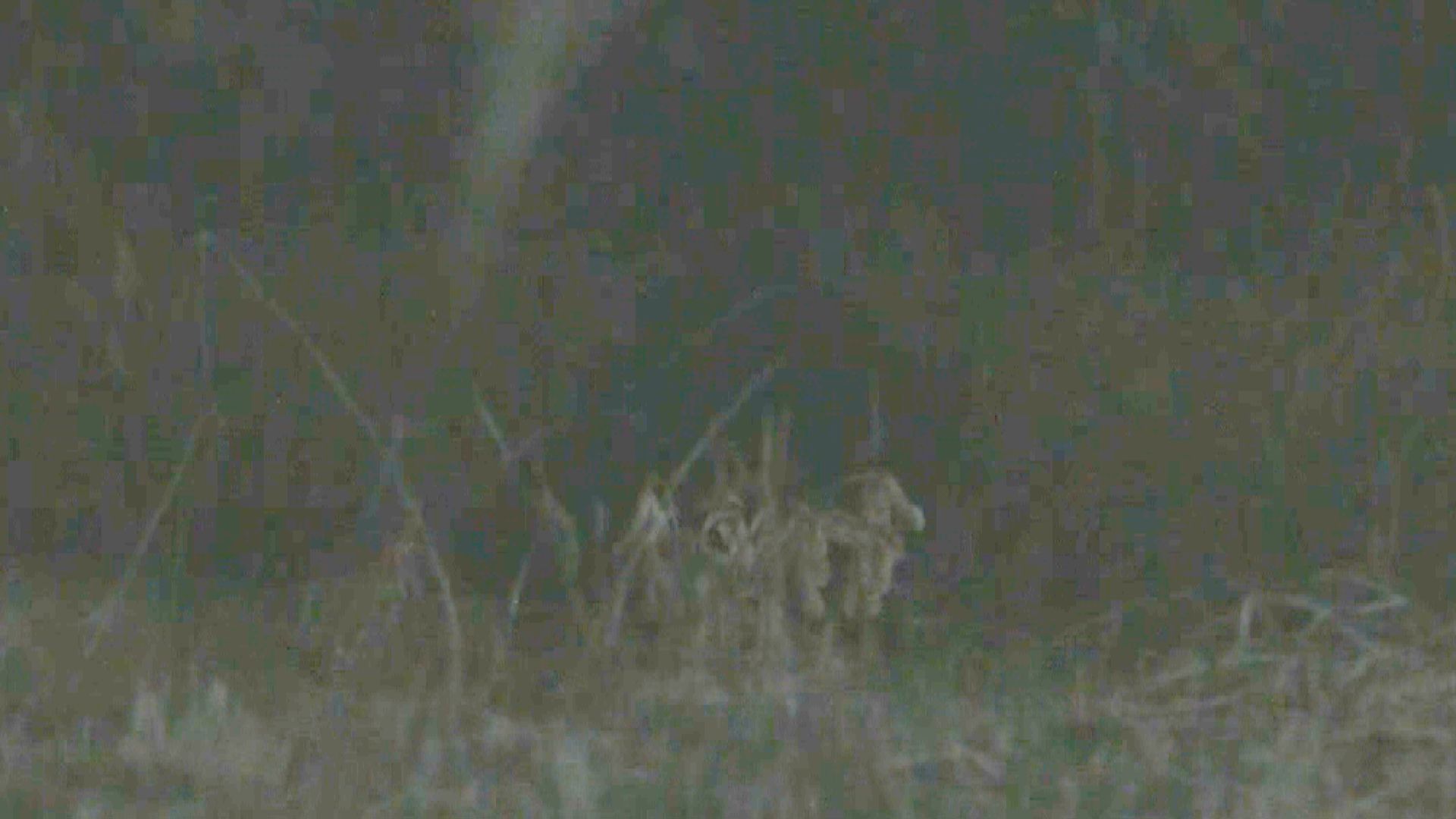 仙台・泉区の保育園近くに子グマ居座る　麻酔銃で捕獲試みるも茂みに逃げる　箱わな設置し捕獲へ