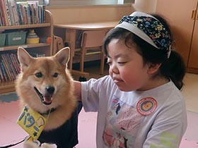 「毎日来て」に応えたい　セラピードッグ、入院中の子供を笑顔に