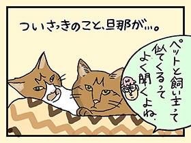 魚卵姉妹　親せき感がハンパない　やっぱ、猫じゃけぇ(50)