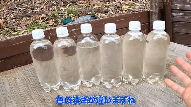 右の2本は雨が少ない時期に採取したため色が濃い／ちーとん。さん提供