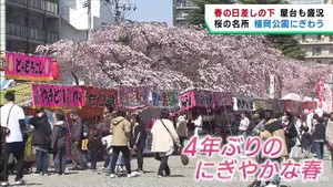 仙台の桜もうすぐ満開　桜の名所・榴岡公園は花見客でにぎわう