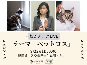 【9月22日20時～】ペットロスについて相談しよう　獣医師に聞けるオンラインライブ