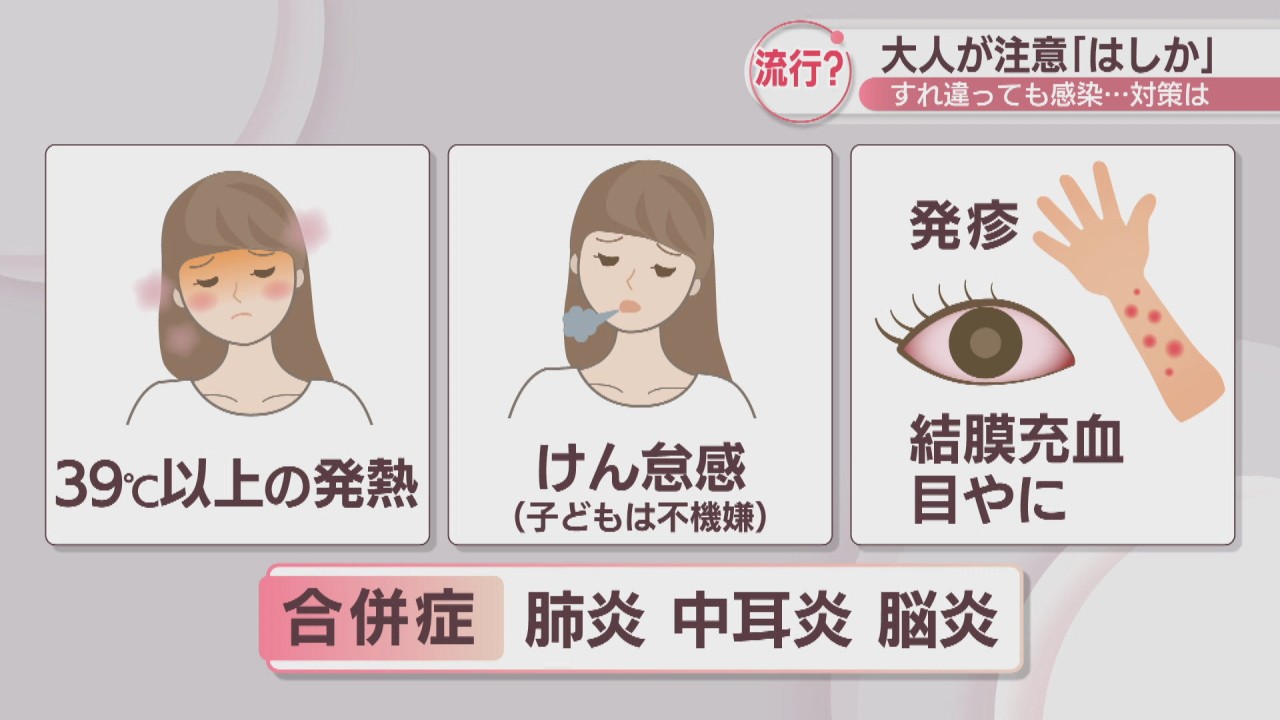 大人 は しか