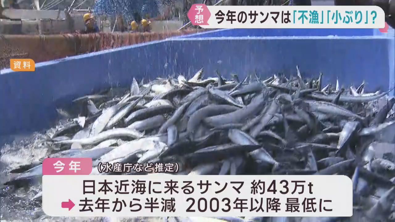 日本近海のサンマ　調査開始以来最少か