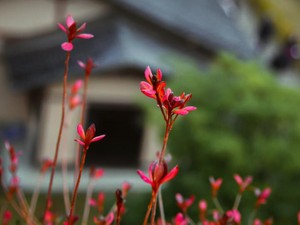 みんなと違うから距離を置かれた。13歳で知った現実のさびしさ