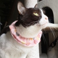 一番日当たりのいい人気の場所で