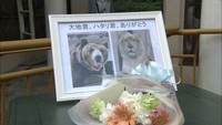 人気動物の相次ぐ死でさらに経営圧迫…池田動物園の未来を考える会　岡山市で会合