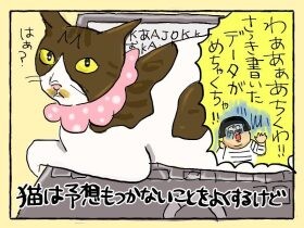 猫と違ってイラッ　かわいさランキング280位の妻の言い分