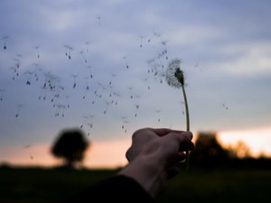 きっと寂しかった彼女のウソ。許せず疎遠になったけど、多分大好き