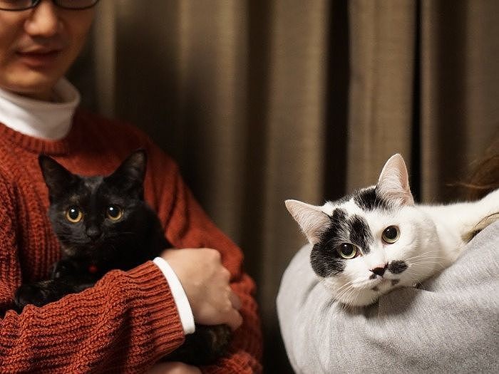 モネは信吾さんと、こまちはかえでさんと寝ている