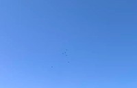 これは鳥？ブルーインパルス？（正解はブルーインパルス）