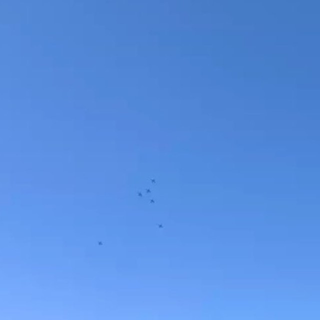 これは鳥？ブルーインパルス？（正解はブルーインパルス）