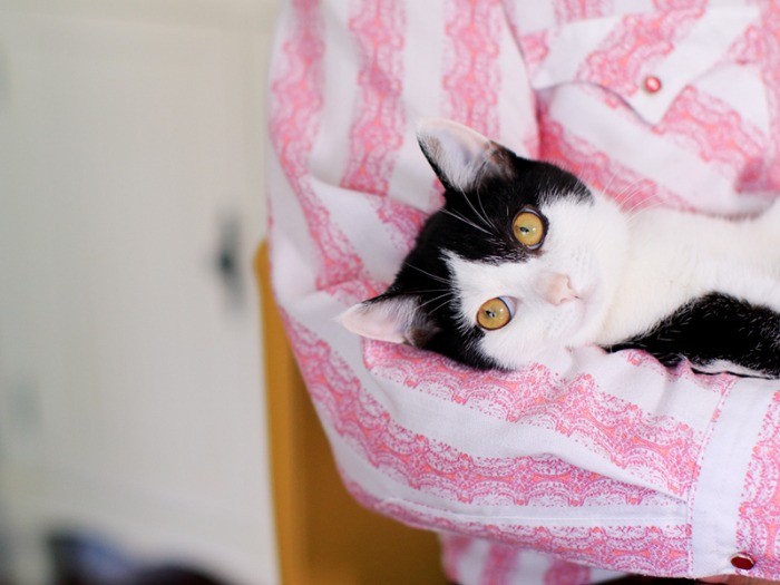 ポールより臆病な性格だから、ご主人からも念入りに。