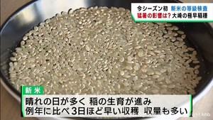 今季初めての新米等級検査　全てが一等米　宮城・大崎市