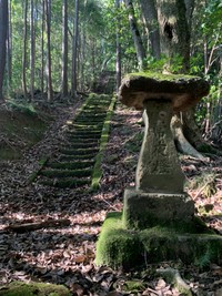 延々と石段が続く風景（キャプテン村社さん提供）