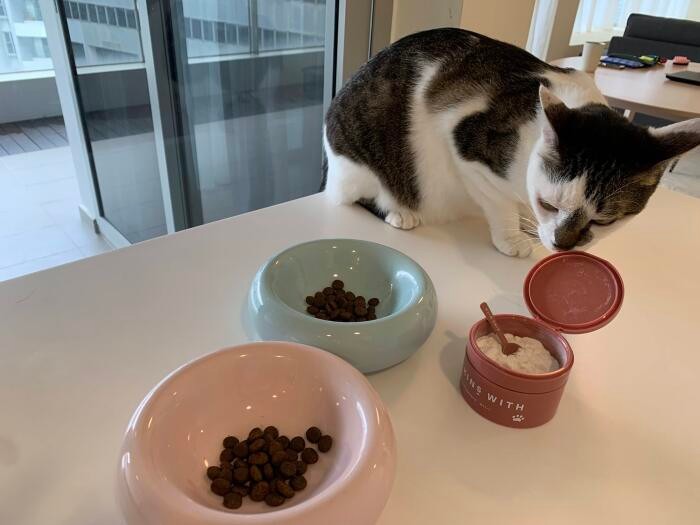 日本から持ってきたペットの菌活サプリメントKINS WITHは、晴美さんが勤める会社（KINS）のもの「これでおなかの調子もばっちり」（晴美さんの提供）