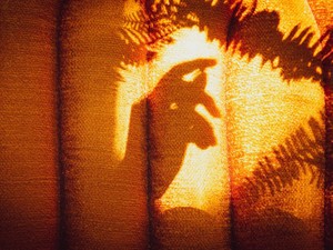 「すごい人」でいたかったのに自分はそんなことないと気づいてしまった