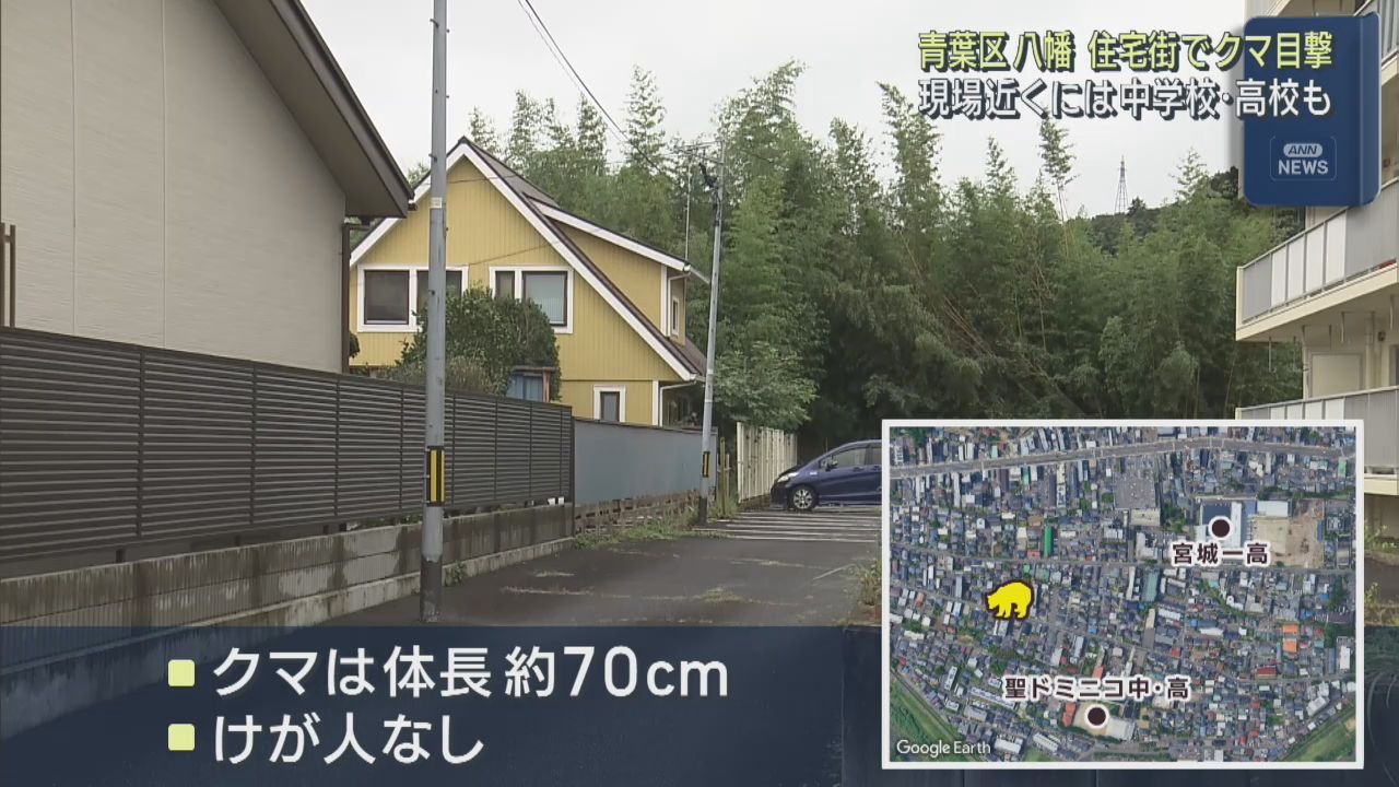 住宅街でクマの目撃情報　仙台・青葉区