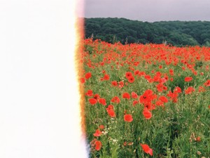 ただ、あなたの「おかえりなさい」が欲しかった、それだけでよかった