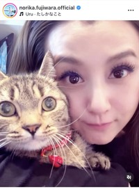 藤原紀香インスタグラム＠norika.fujiwara.officialより