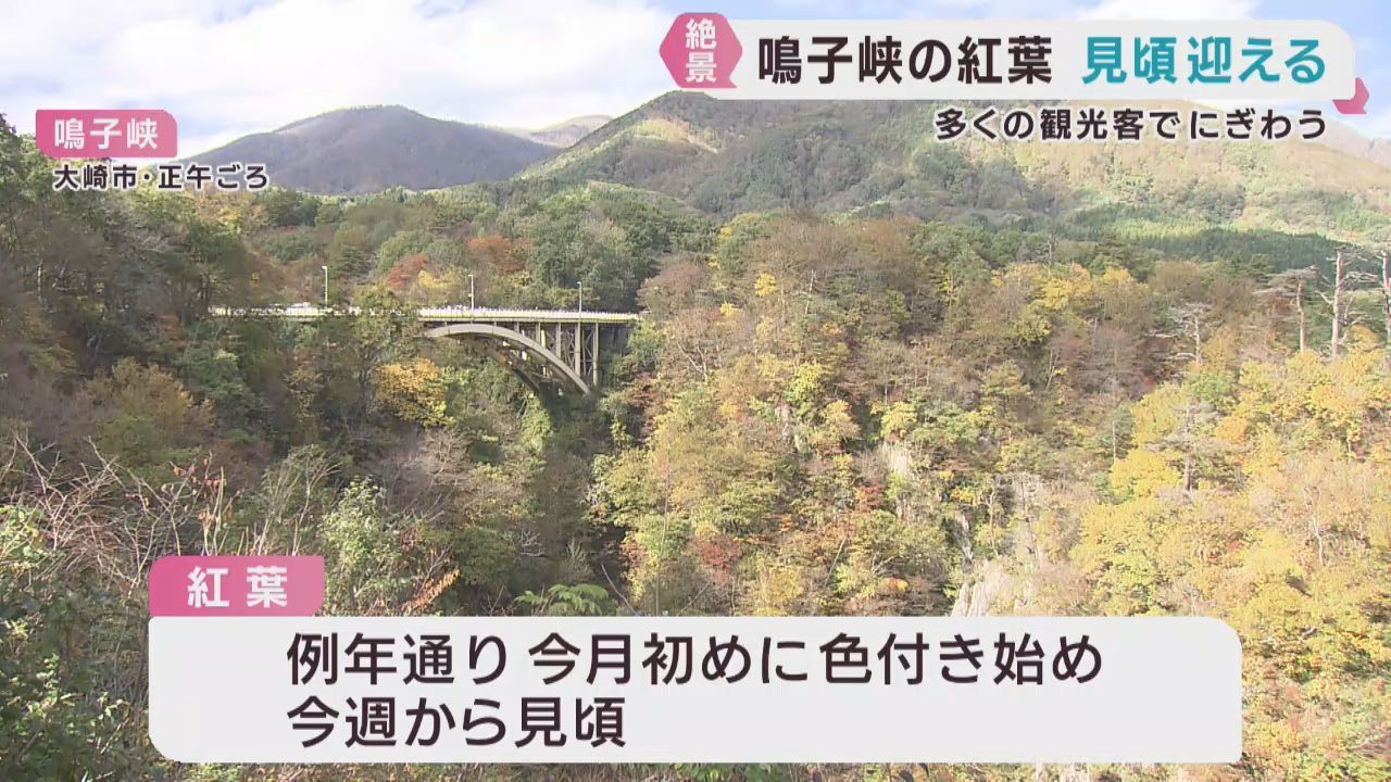 紅葉が見頃　多くの観光客が訪れる　宮城・鳴子峡