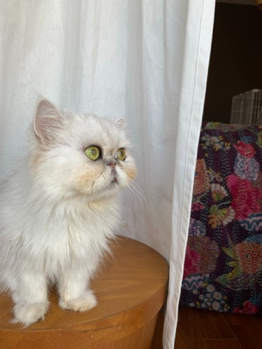 「私は私、ダンちゃんはダンちゃん。それぞれ個性が違っていていいのよね」（早坂さん提供）